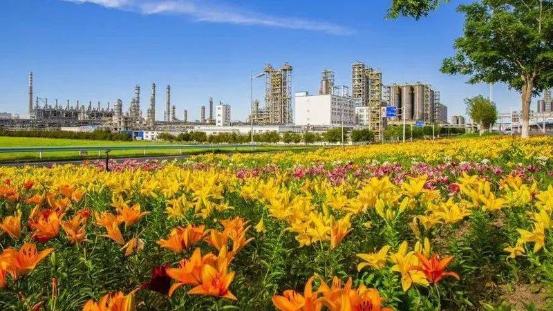 工业添加剂定制：如何确保品质与合规？**