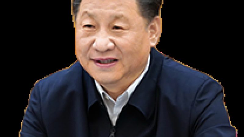 上海化工原料公司，如何选择合适的供应商？**
